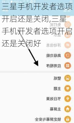 三星手机开发者选项开启还是关闭,三星手机开发者选项开启还是关闭好