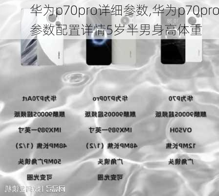 华为p70pro详细参数,华为p70pro参数配置详情5岁半男身高体重