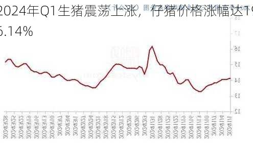 2024年Q1生猪震荡上涨，仔猪价格涨幅达196.14%