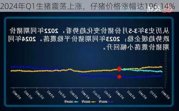 2024年Q1生猪震荡上涨，仔猪价格涨幅达196.14%