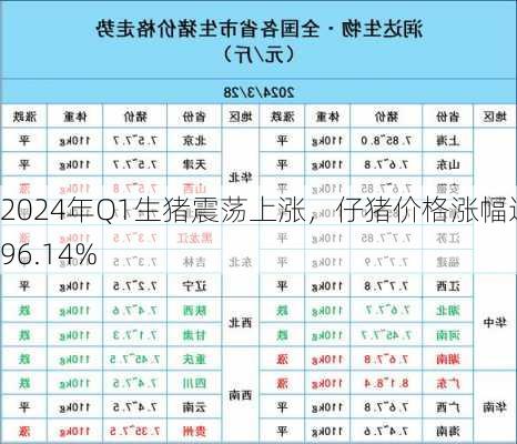 2024年Q1生猪震荡上涨，仔猪价格涨幅达196.14%