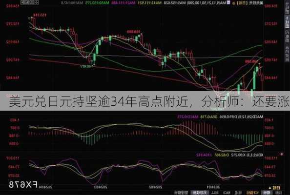 美元兑日元持坚逾34年高点附近，分析师：还要涨