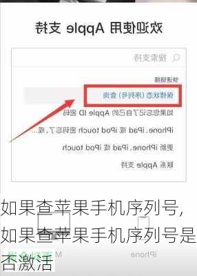 如果查苹果手机序列号,如果查苹果手机序列号是否激活