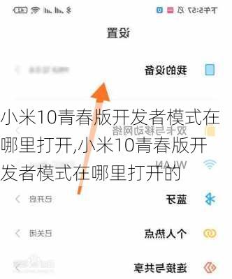 小米10青春版开发者模式在哪里打开,小米10青春版开发者模式在哪里打开的