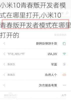 小米10青春版开发者模式在哪里打开,小米10青春版开发者模式在哪里打开的