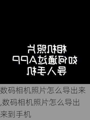 数码相机照片怎么导出来,数码相机照片怎么导出来到手机