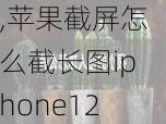 苹果手机截图截长屏的操作方法苹果12,苹果截屏怎么截长图iphone12