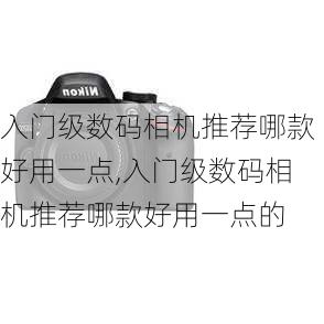 入门级数码相机推荐哪款好用一点,入门级数码相机推荐哪款好用一点的