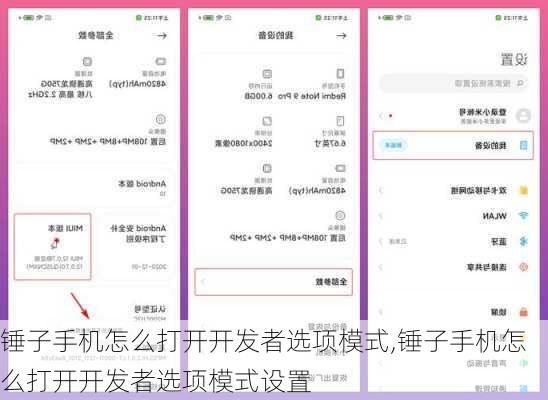 锤子手机怎么打开开发者选项模式,锤子手机怎么打开开发者选项模式设置