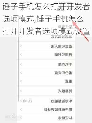 锤子手机怎么打开开发者选项模式,锤子手机怎么打开开发者选项模式设置