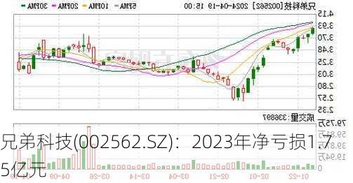 兄弟科技(002562.SZ)：2023年净亏损1.75亿元