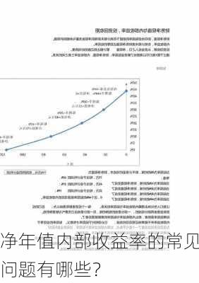 净年值内部收益率的常见问题有哪些？