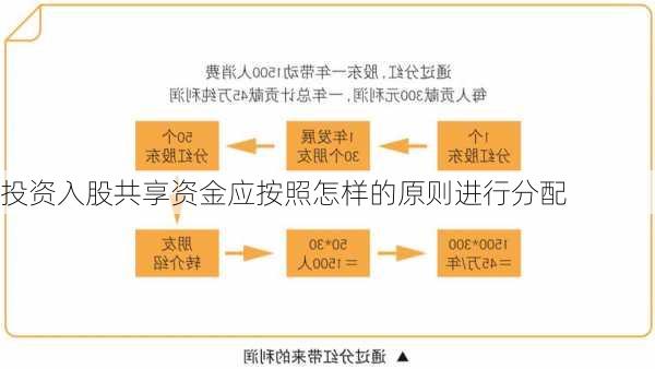 投资入股共享资金应按照怎样的原则进行分配