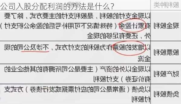 公司入股分配利润的方法是什么？