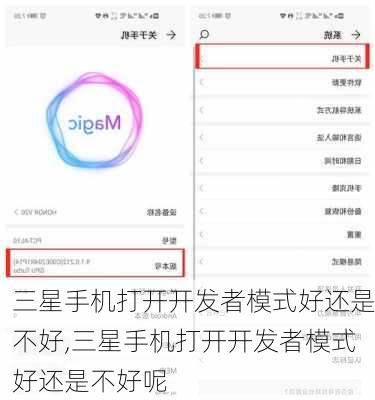 三星手机打开开发者模式好还是不好,三星手机打开开发者模式好还是不好呢