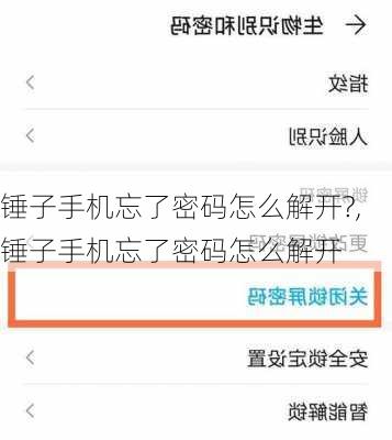 锤子手机忘了密码怎么解开?,锤子手机忘了密码怎么解开