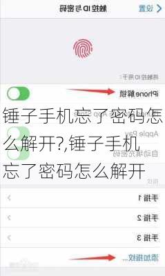 锤子手机忘了密码怎么解开?,锤子手机忘了密码怎么解开