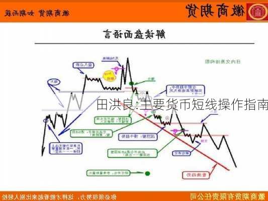 田洪良:主要货币短线操作指南