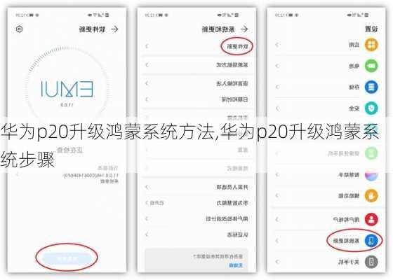 华为p20升级鸿蒙系统方法,华为p20升级鸿蒙系统步骤