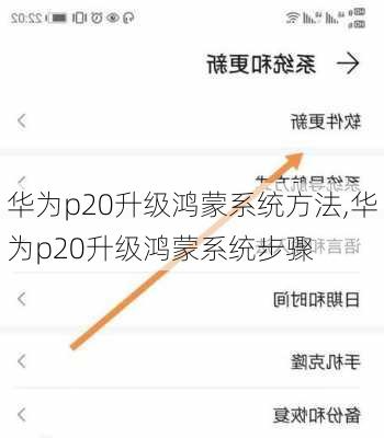 华为p20升级鸿蒙系统方法,华为p20升级鸿蒙系统步骤