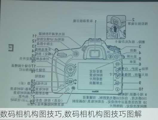 数码相机构图技巧,数码相机构图技巧图解