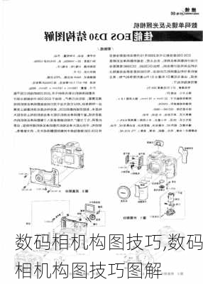 数码相机构图技巧,数码相机构图技巧图解