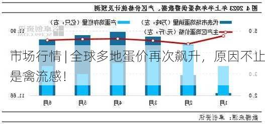 市场行情 | 全球多地蛋价再次飙升，原因不止是禽流感！