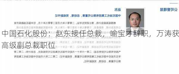 中国石化股份：赵东接任总裁，喻宝才辞职，万涛获高级副总裁职位