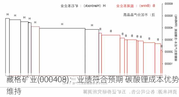 藏格矿业(000408)：业绩符合预期 碳酸锂成本优势维持