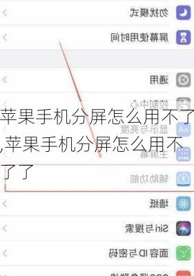 苹果手机分屏怎么用不了,苹果手机分屏怎么用不了了