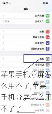 苹果手机分屏怎么用不了,苹果手机分屏怎么用不了了