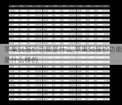 苹果5s报价功能是什么,苹果5s报价功能是什么样的