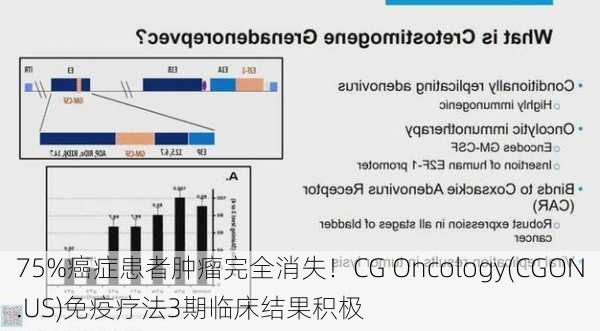 75%癌症患者肿瘤完全消失！CG Oncology(CGON.US)免疫疗法3期临床结果积极