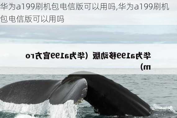 华为a199刷机包电信版可以用吗,华为a199刷机包电信版可以用吗