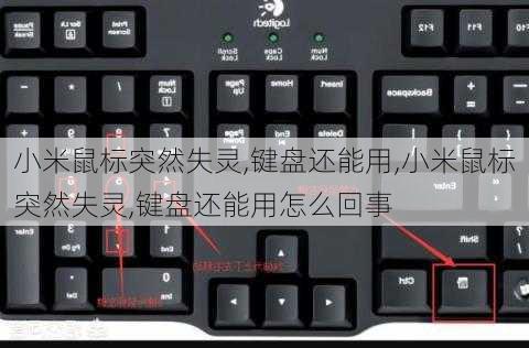 小米鼠标突然失灵,键盘还能用,小米鼠标突然失灵,键盘还能用怎么回事