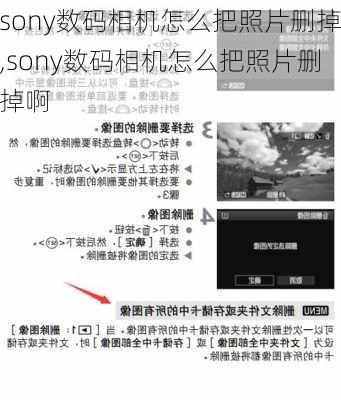 sony数码相机怎么把照片删掉,sony数码相机怎么把照片删掉啊