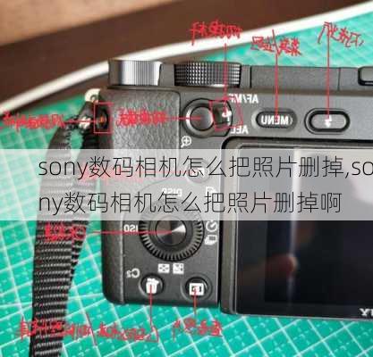 sony数码相机怎么把照片删掉,sony数码相机怎么把照片删掉啊