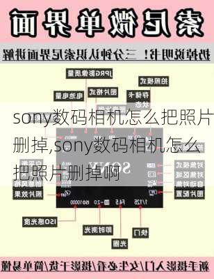 sony数码相机怎么把照片删掉,sony数码相机怎么把照片删掉啊