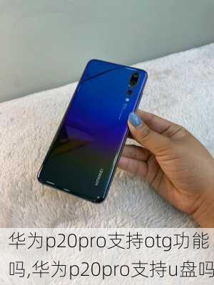 华为p20pro支持otg功能吗,华为p20pro支持u盘吗