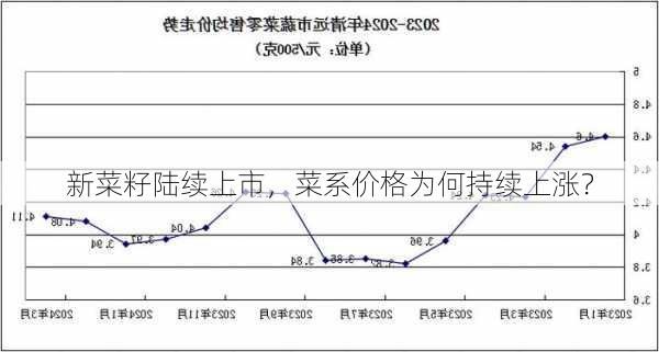 新菜籽陆续上市，菜系价格为何持续上涨？