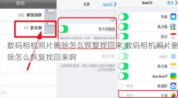数码相机照片删除怎么恢复找回来,数码相机照片删除怎么恢复找回来啊