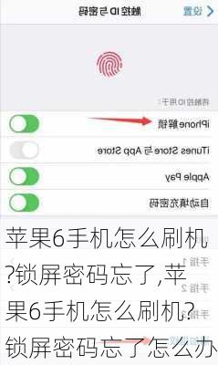 苹果6手机怎么刷机?锁屏密码忘了,苹果6手机怎么刷机?锁屏密码忘了怎么办