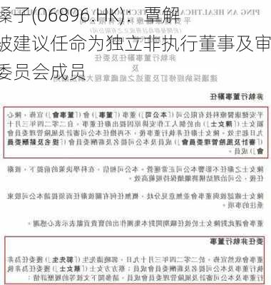 金嗓子(06896.HK)：覃解生被建议任命为独立非执行董事及审核委员会成员