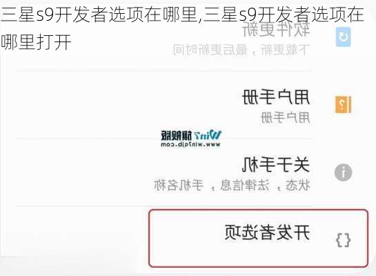 三星s9开发者选项在哪里,三星s9开发者选项在哪里打开