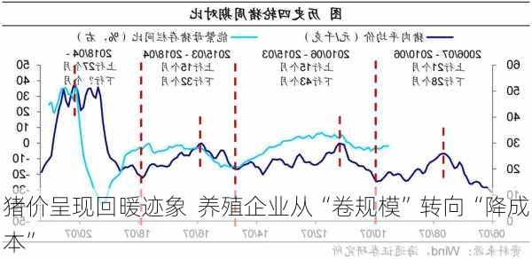 猪价呈现回暖迹象  养殖企业从“卷规模”转向“降成本”