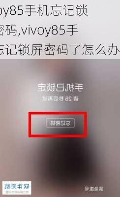vivoy85手机忘记锁屏密码,vivoy85手机忘记锁屏密码了怎么办