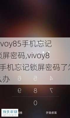 vivoy85手机忘记锁屏密码,vivoy85手机忘记锁屏密码了怎么办