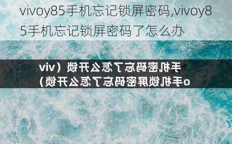 vivoy85手机忘记锁屏密码,vivoy85手机忘记锁屏密码了怎么办