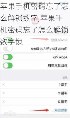 苹果手机密码忘了怎么解锁数字,苹果手机密码忘了怎么解锁数字锁