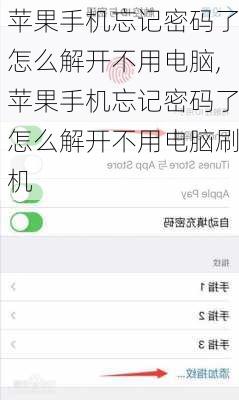 苹果手机忘记密码了怎么解开不用电脑,苹果手机忘记密码了怎么解开不用电脑刷机